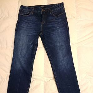 STS Blue indigo skinny jean